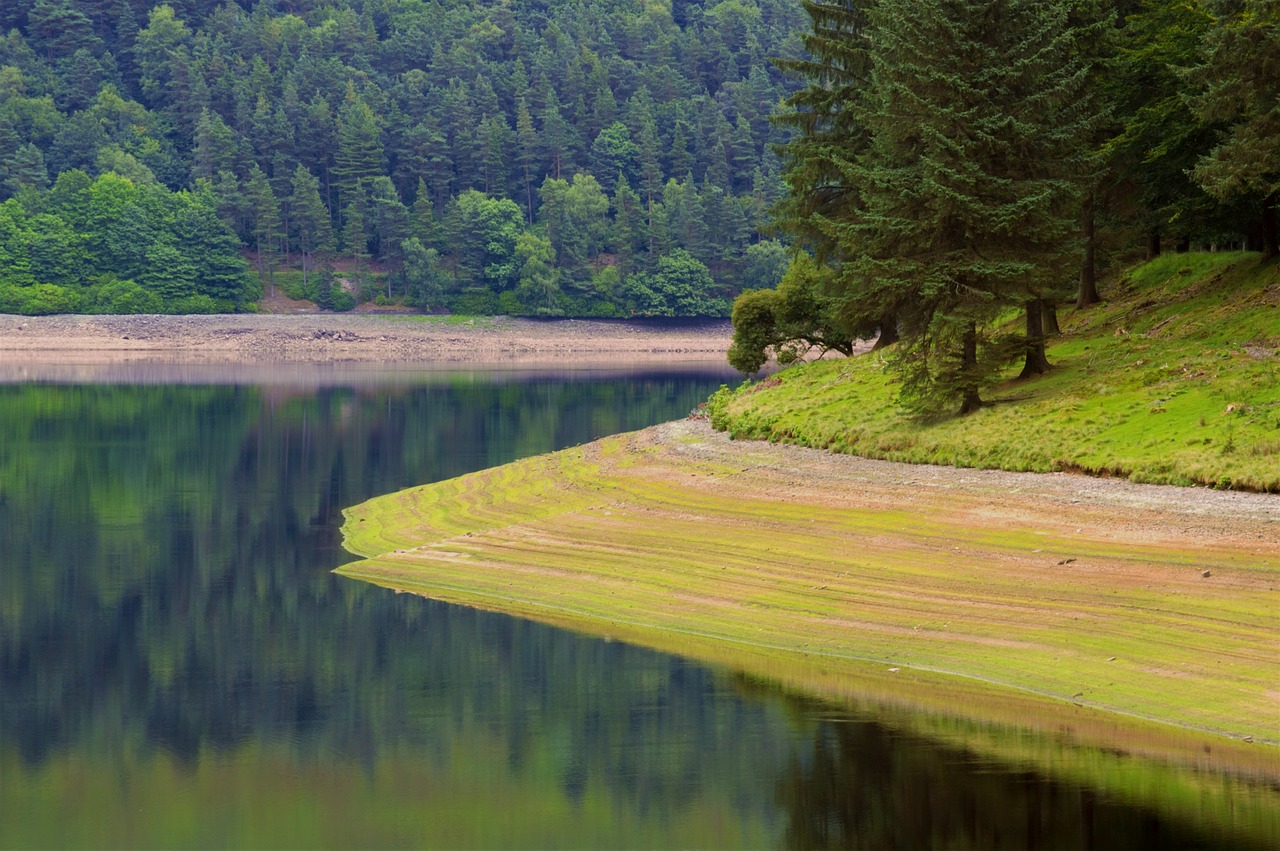 清远最新钓鱼胜地，探寻最佳水库垂钓点